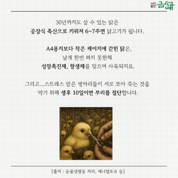 KakaoTalk_20251209_160338480_03.png