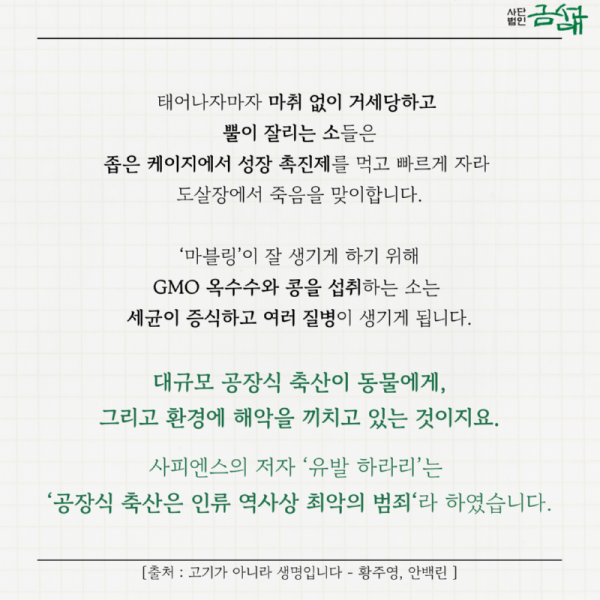 KakaoTalk_20251209_160338480_08.png