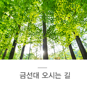 금선대 오시는 길